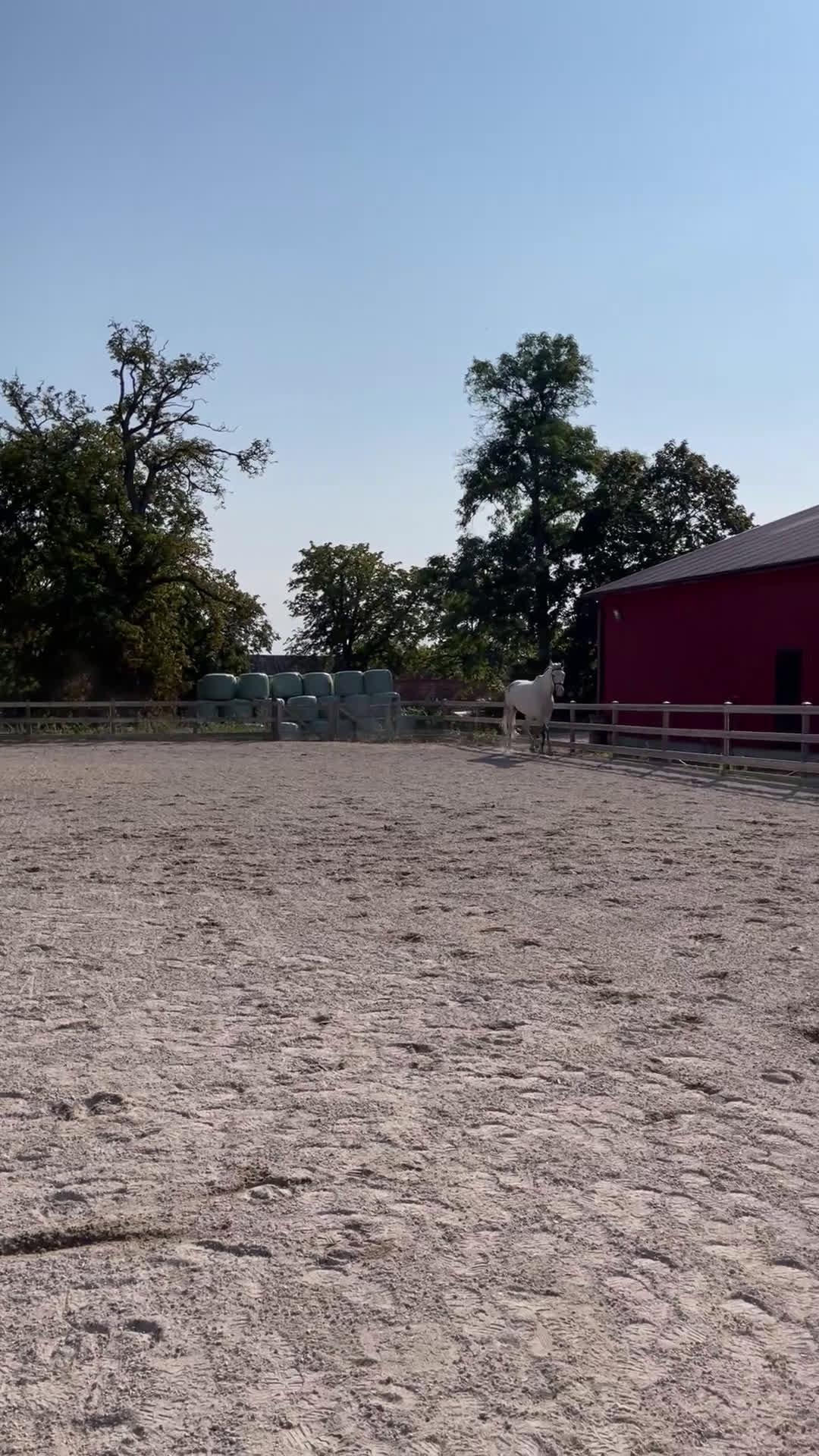 Hoppning hästar till salu: Fantastiskt sto i Påryd - Video 2