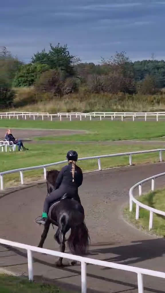 Island hästar till salu: Flott valack i Rengsjö - Video 1