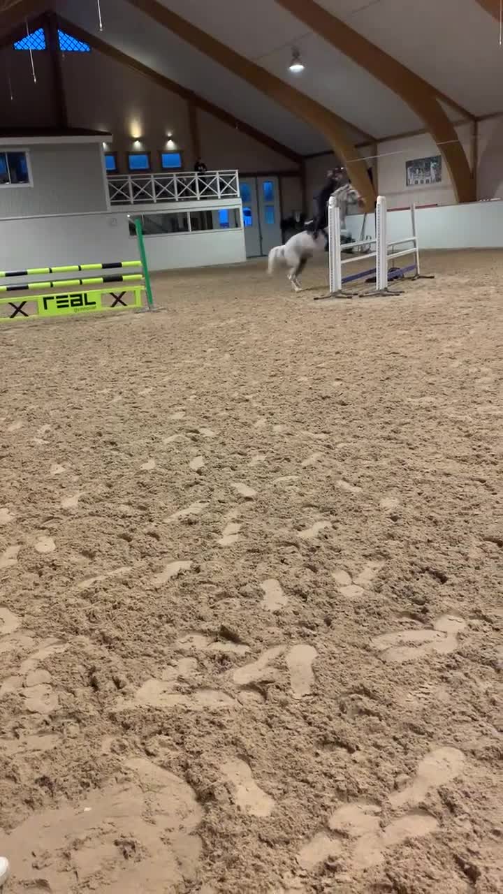 Allround hästar till salu: Sockersöt ponny - Mirain Dior  - Video 1