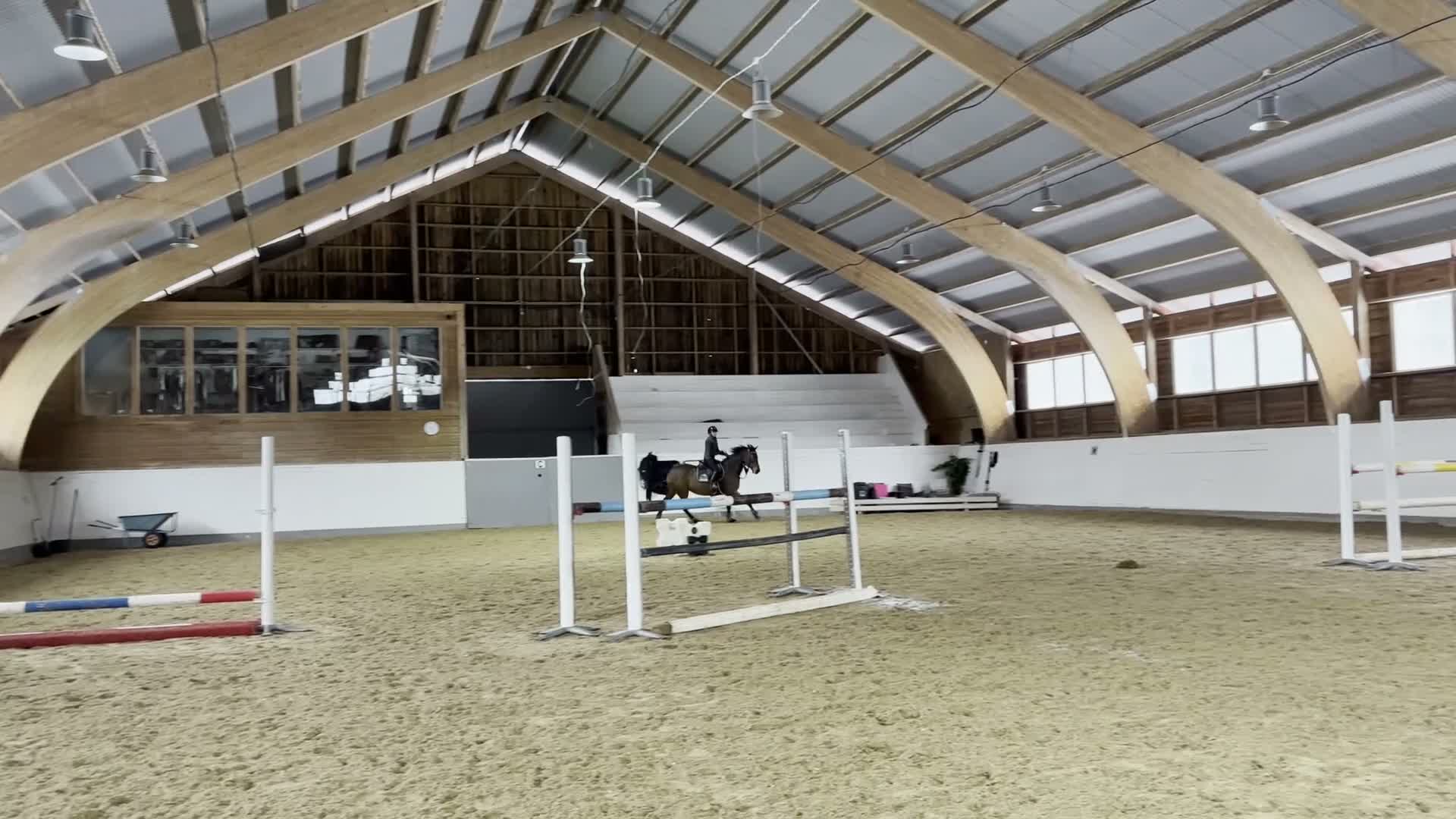 Hoppning hästar till salu: Välutbildad tävlingshäst med stor kapacitet - Video 3