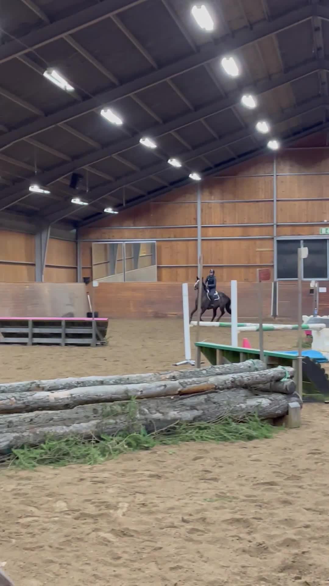  medryttarhäst sökes: Medryttare sökes  i Värends Nöbbele - Video 3