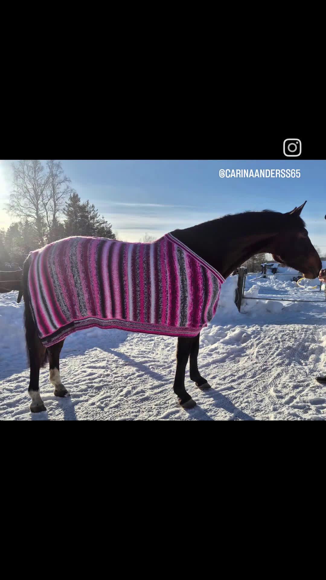 Täcken hästutrustning till salu: Stickat täcke - Video 2
