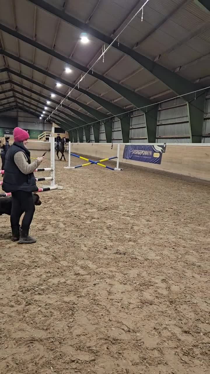 Allround hästar sökes: Medryttarhäst sökes  i Östra Ryd - Video 3