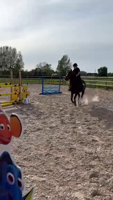  medryttarhäst finnes: C Ponny utanför Helsingborg söker medryttare i Rydebäck - Video 2