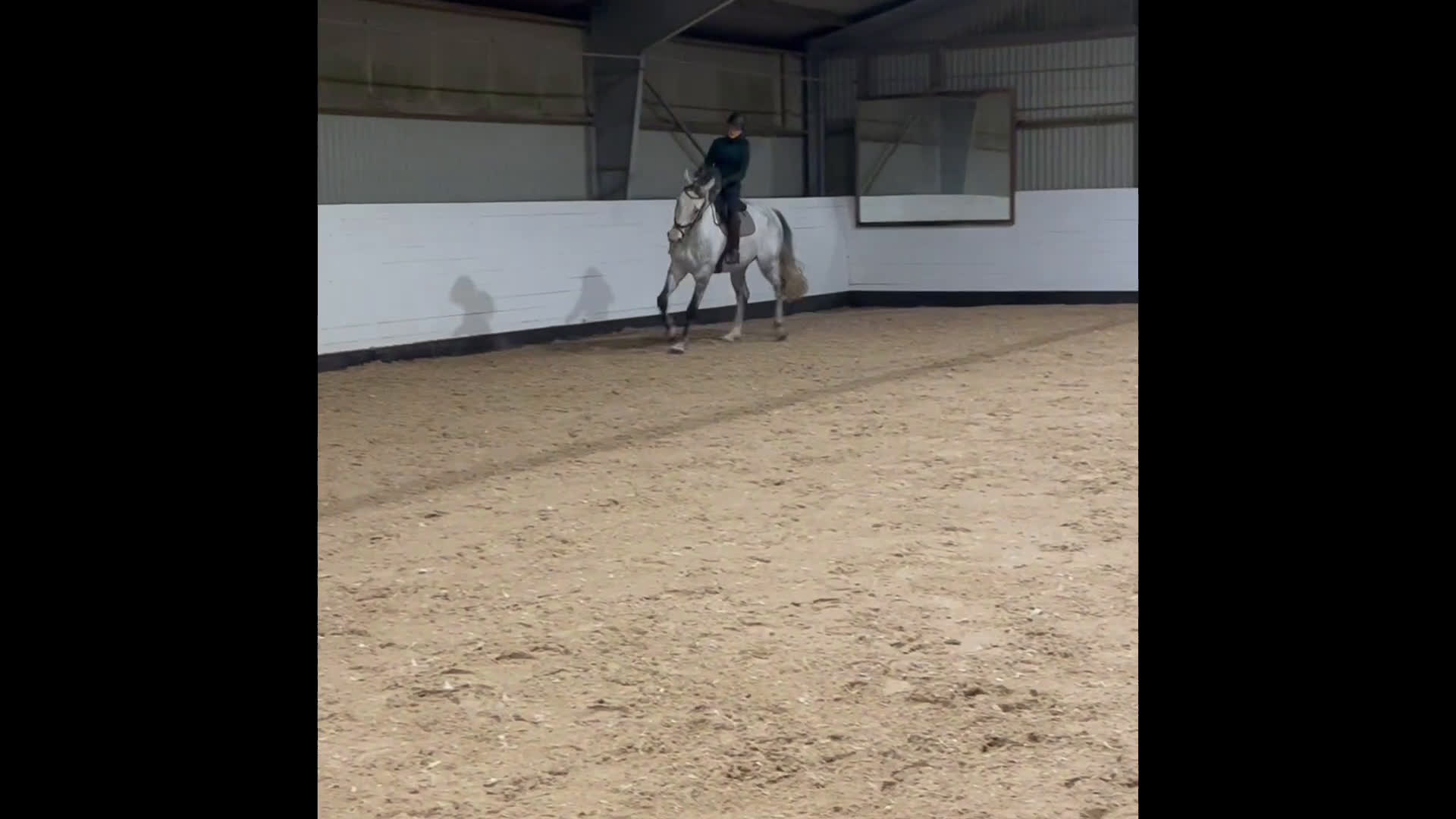 Dressyr hästar till salu: Trevlig stor valack med stort hjärta  🌟🦄  i Halmstad - Video 1