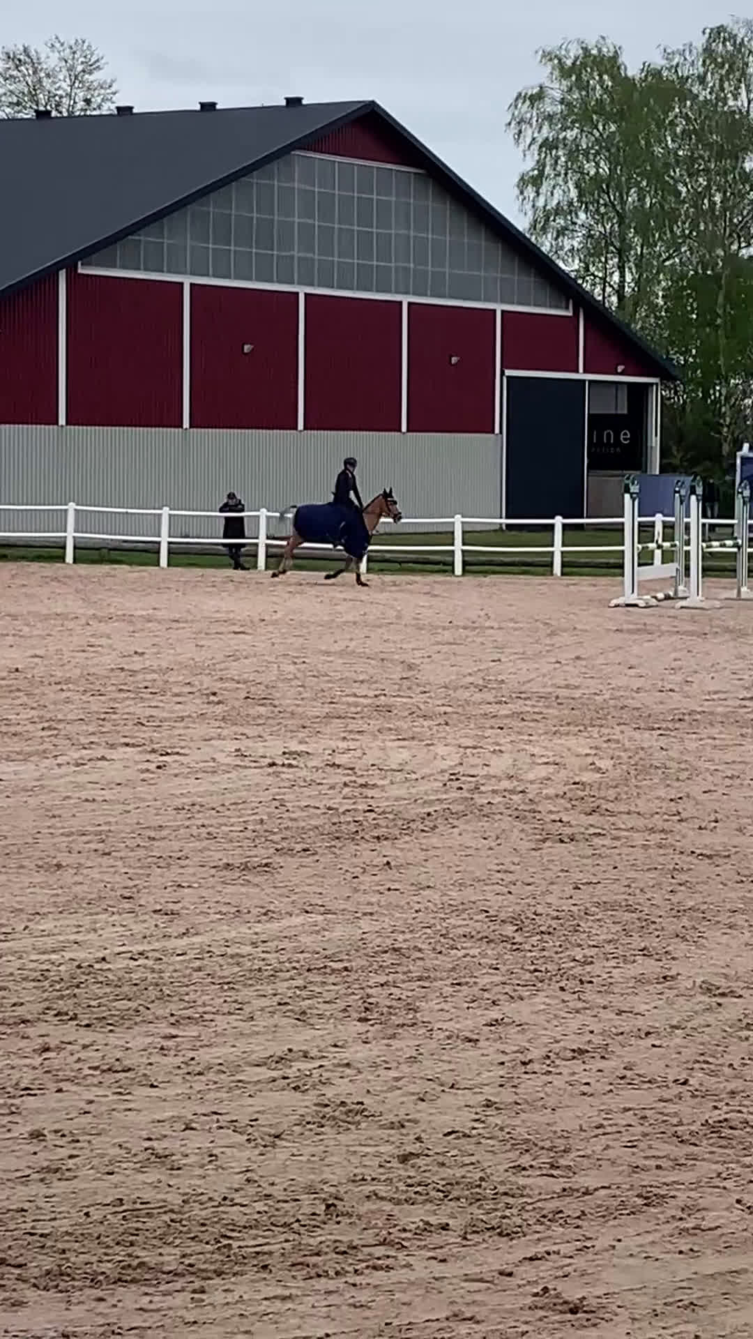 Hoppning hästar till salu: Underbar maxad c-ponny! i Ytterby - Video 3