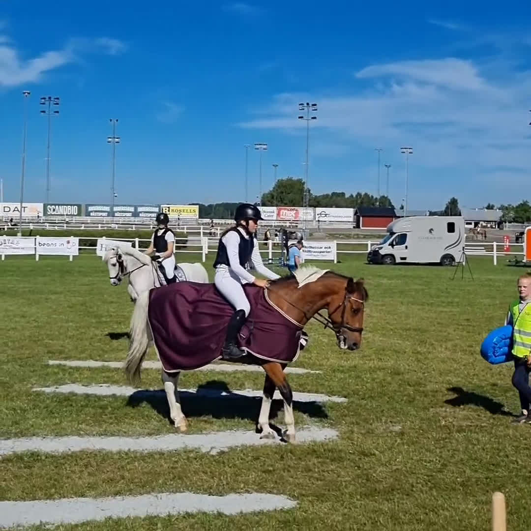 Allround hästar till salu: D ponny i Säter - Video 2