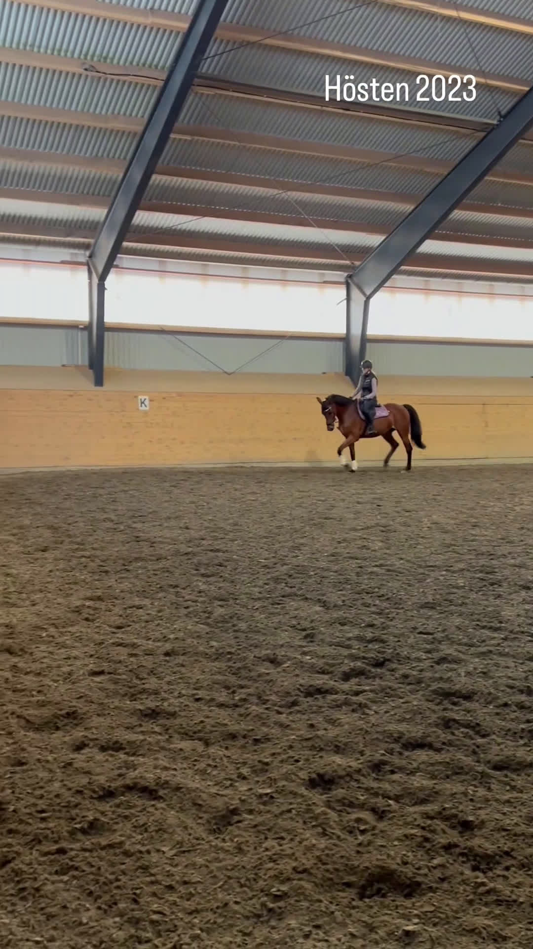 Hoppning hästar till salu: *Reserverad* Finstammat sto - Video 2