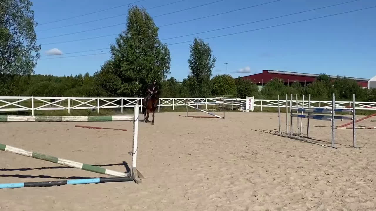 Allround hästar till salu: Trevlig hopp/allroundhäst i Örebro - Video 1