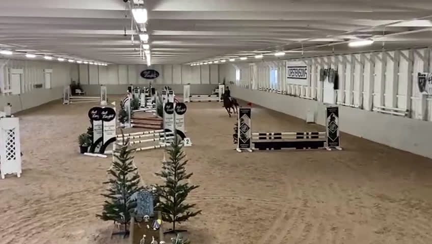 Hoppning hästar till salu: Fantastisk Läromästare  i Sävsjö - Video 3