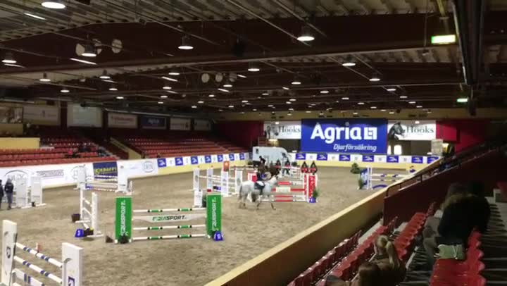Hoppning hästar till salu: PREMIEFÖL Comilfo plus Z-Cabachon  - Video 1