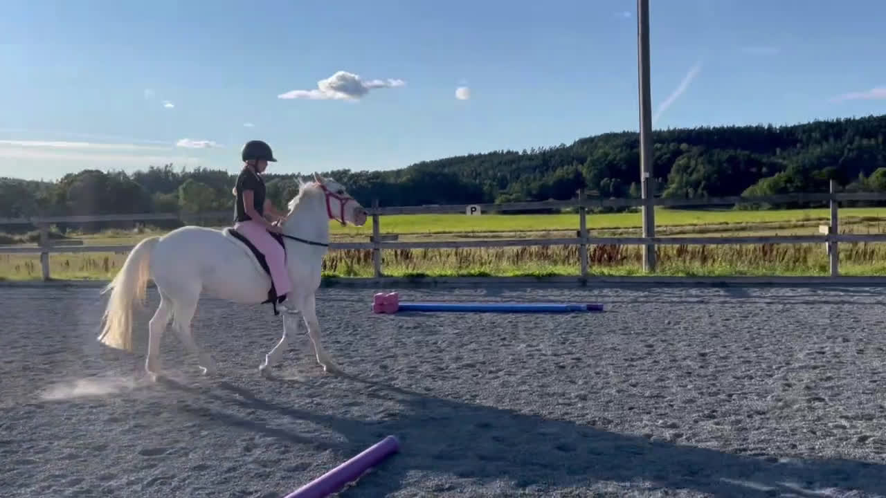 Hoppning hästar till salu: C-ponny ⭐️ i Bollebygd - Video 4