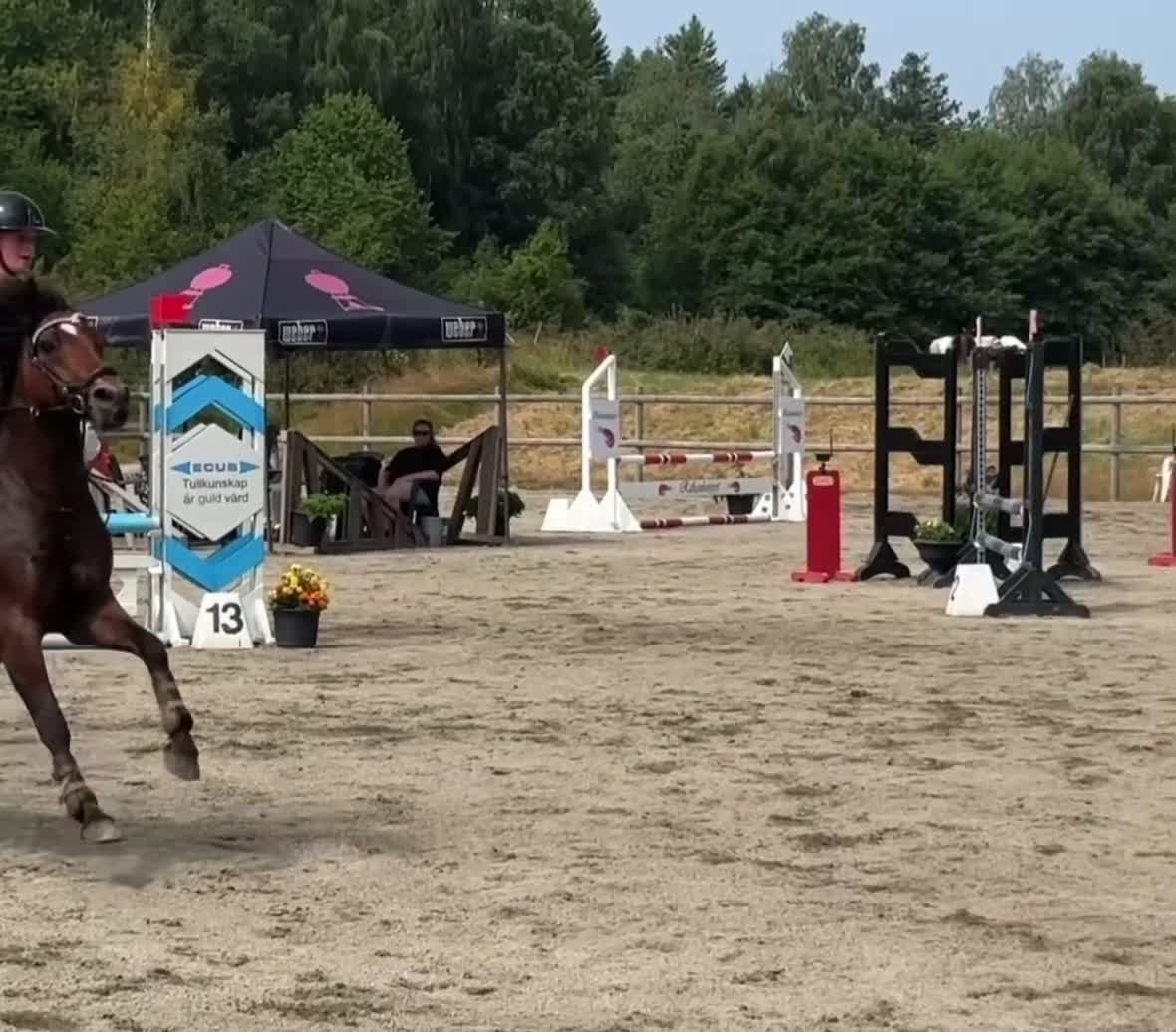 Hoppning hästar till salu: Rallyräka! - Video 1