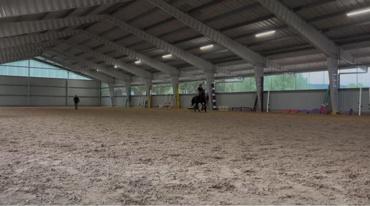 Dressyr hästar till salu: En bästa kompis både i stallet och i ridningen!  i Karlstad - Video 1