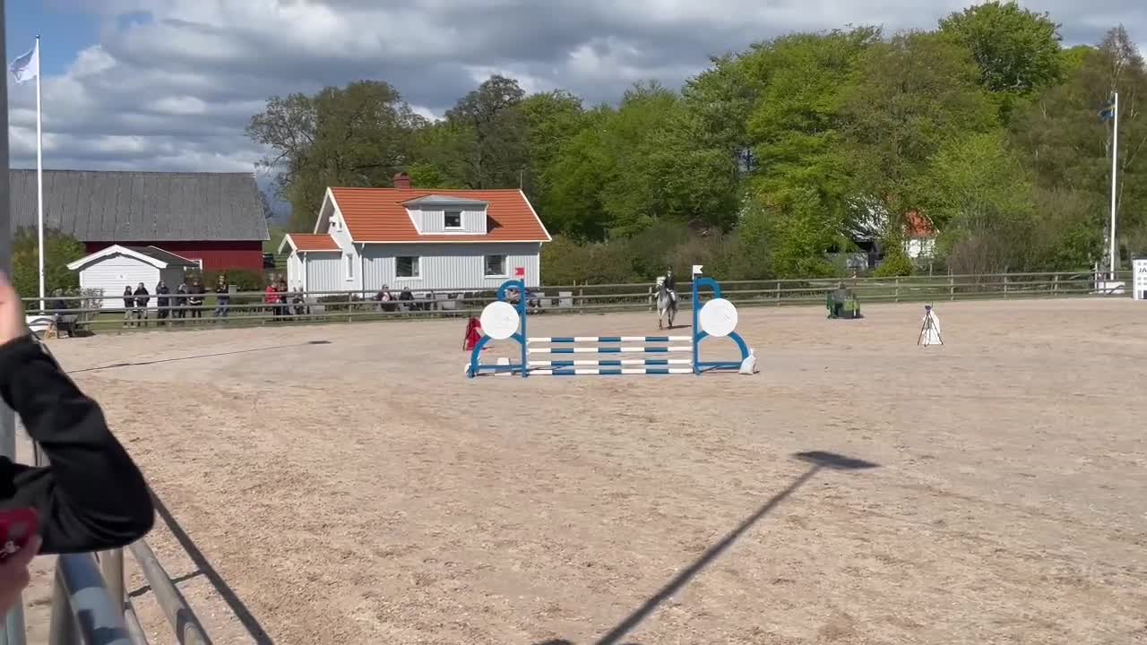 Allround hästar till salu: Moflos Zibel  i Långaryd - Video 3
