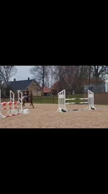 Hoppning hästar till salu: Tävlingsponny - Video 3