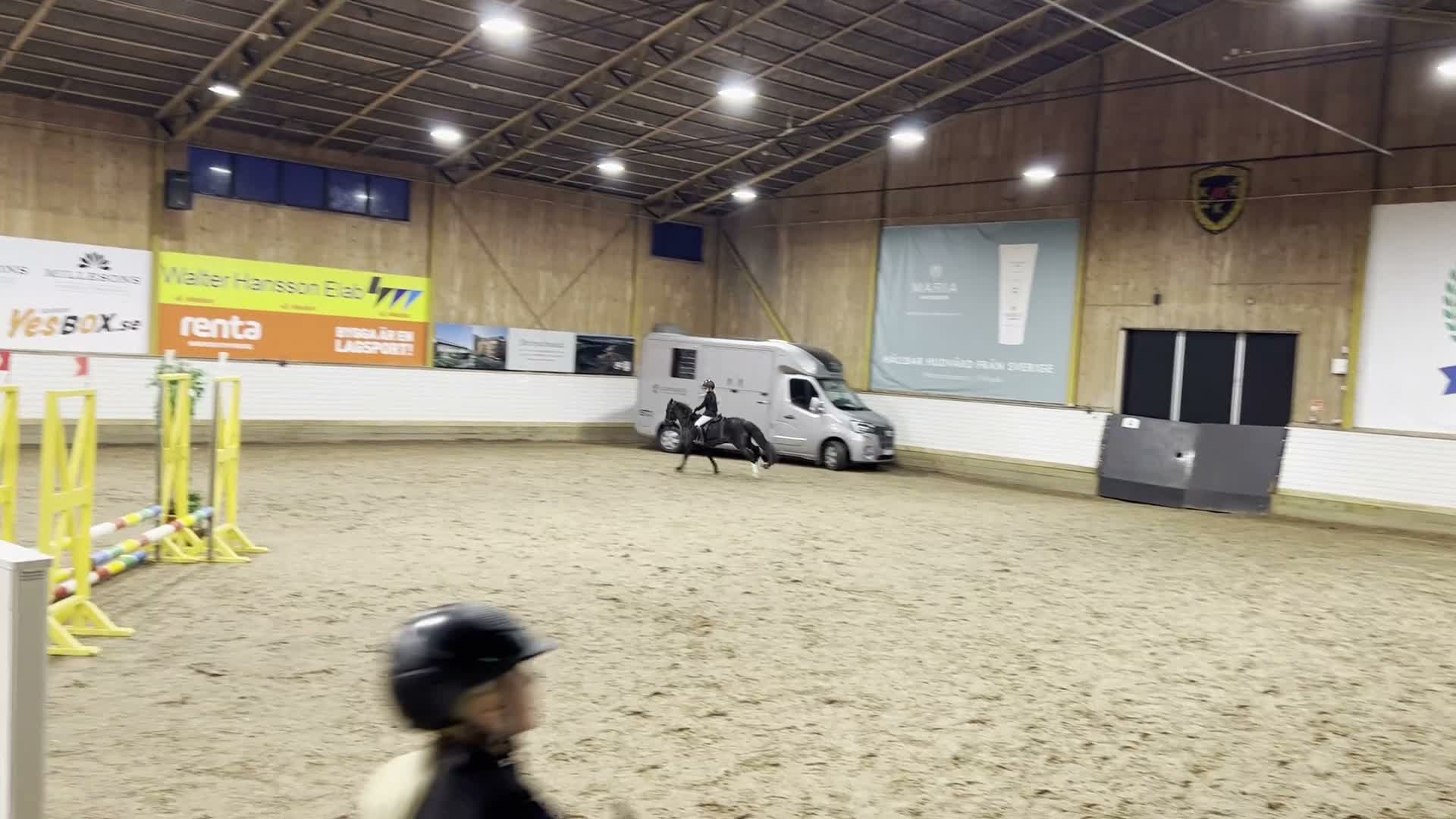 Hoppning hästar till salu: Kul tävlingskompis - Pigg och otittig B-ponny  - Video 3