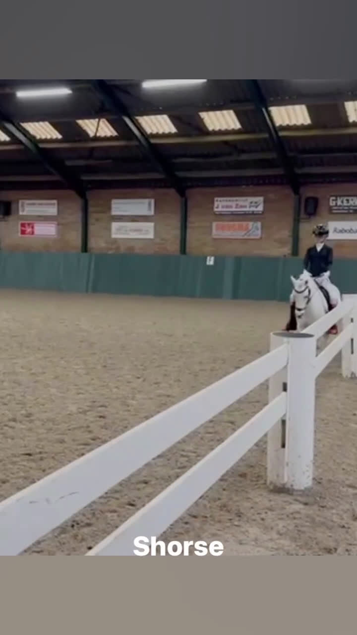 Allround hästar till salu: Drömponny - Video 3