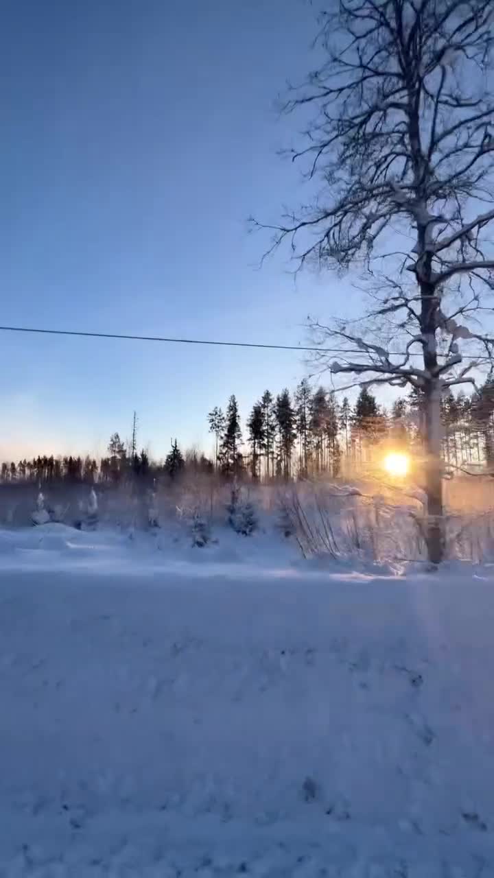 Allround hästar till salu: Perfekt Allround-ponny - Video 1