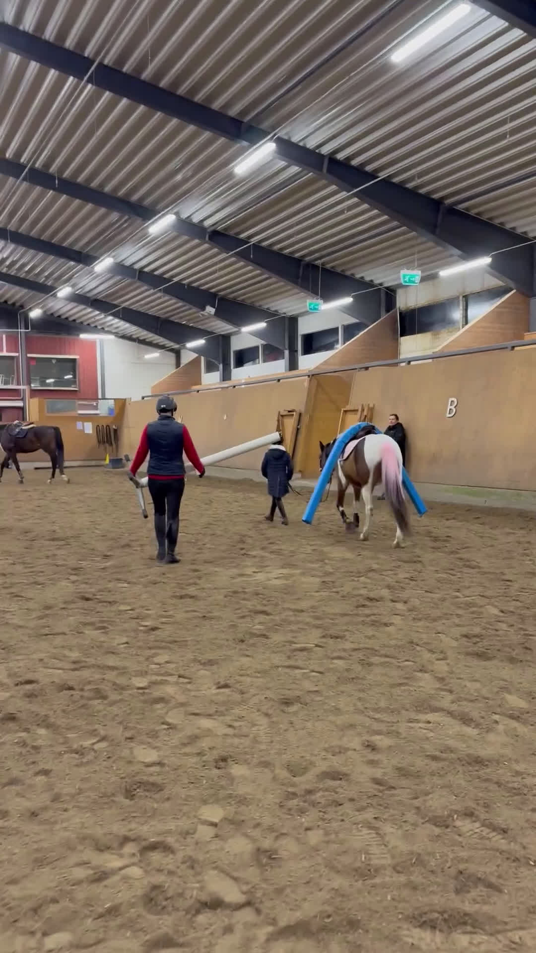 Allround hästar till salu: Världens gulligaste Bianca!  i Värmdö - Video 2