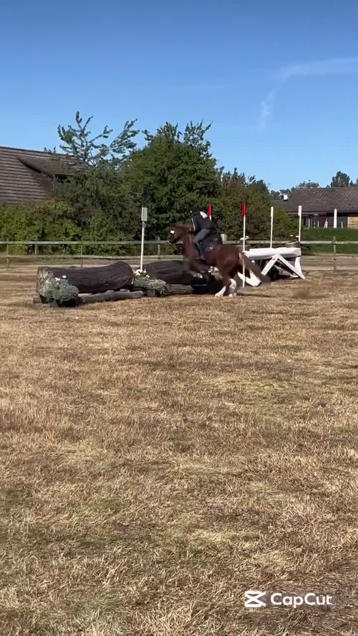 Fälttävlan hästar till salu: En av Sveriges högst rankade b-ponny i fälttävlan i Kumla - Video 1