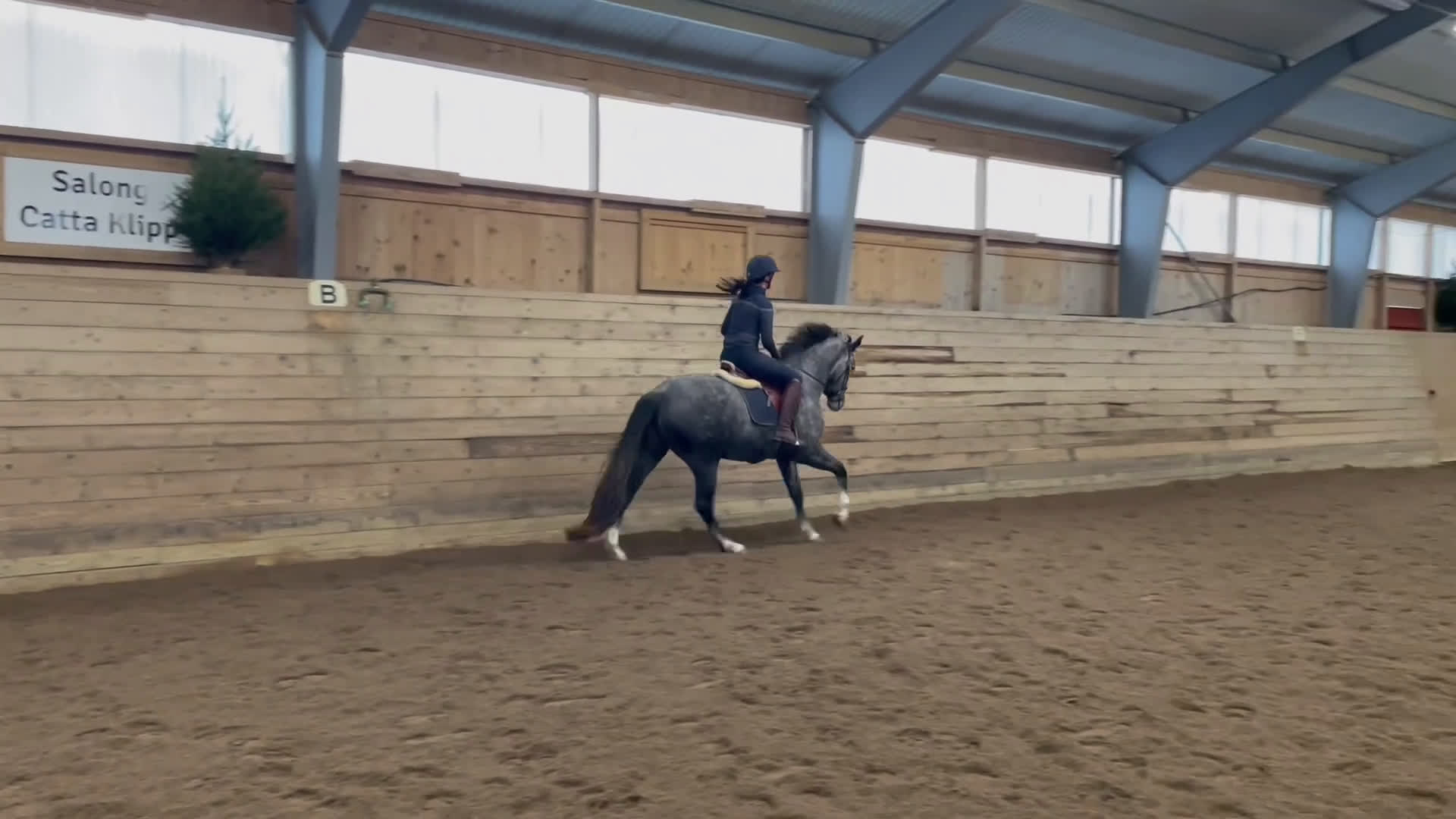 Dressyr hästar till salu: Fantastiskt litet sto i Aneby - Video 3