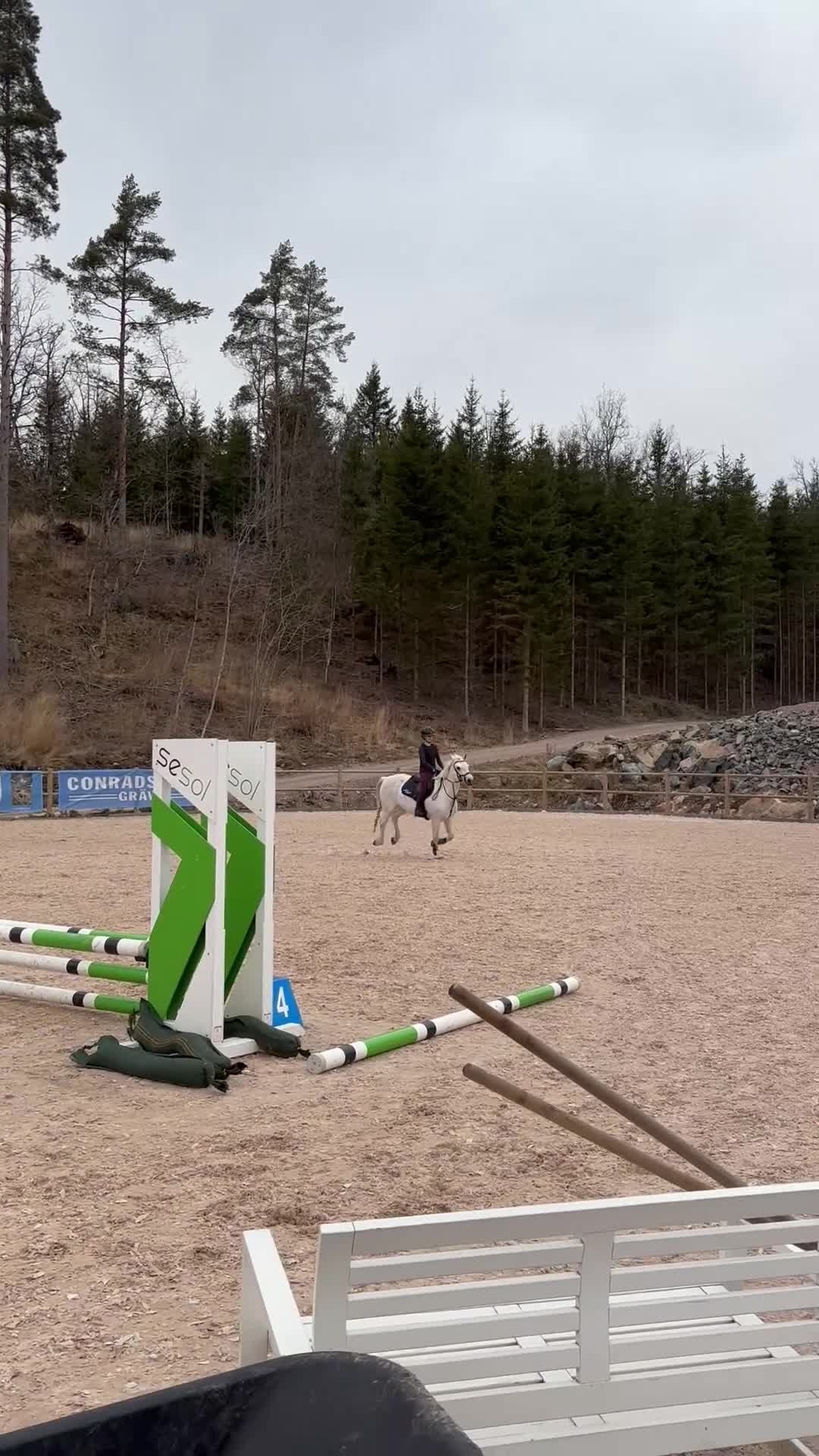 Övrigt hästar till salu: Snäll maxad c-ponny  - Video 3