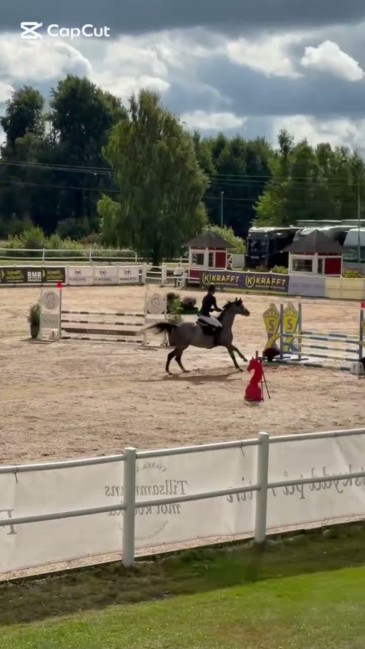 Hoppning hästar till salu: 4-årigt sto med fina meriter och stor potential - Video 1