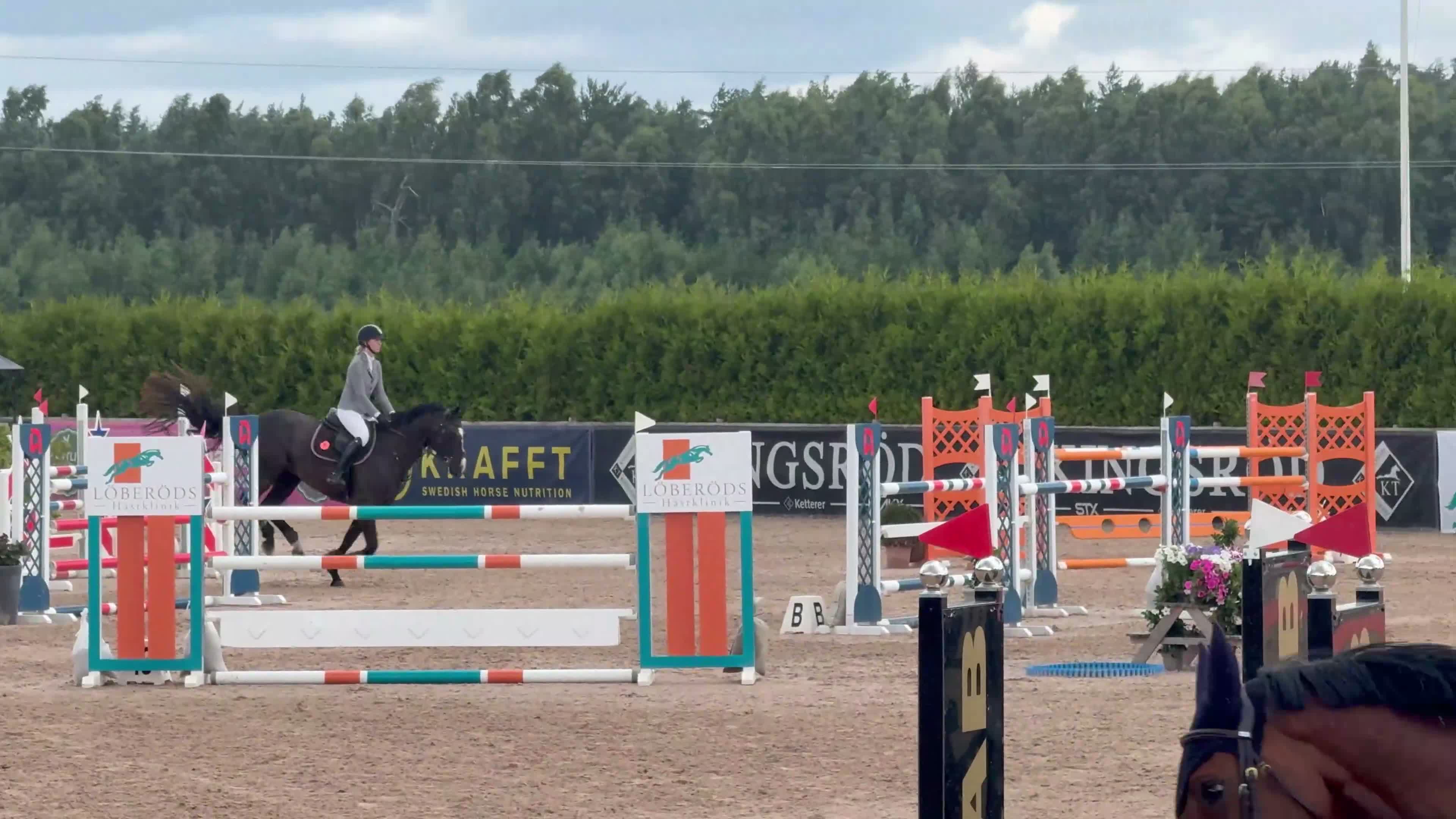 Hoppning hästar till salu: Danish Champion for 6-year-old horses! 🏆  - Video 2