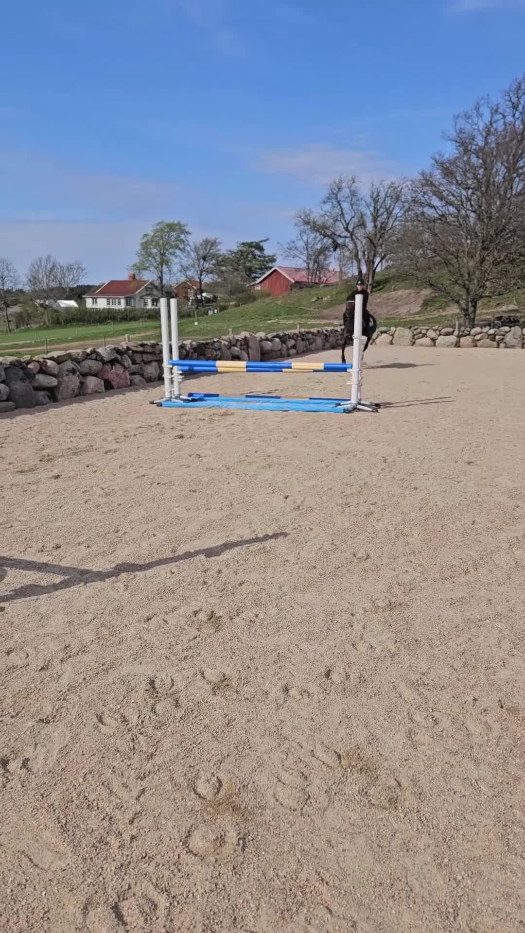 Allround hästar till salu: Härlig allround ponny - Video 3