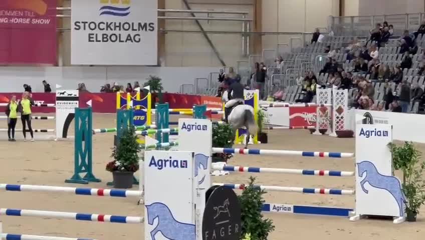Hoppning hästar till salu: Härlig hopphäst  - Video 1