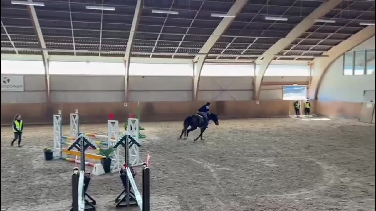 Allround hästar till salu: ⭐️VÄLDIGT SNÄLL TJEJ MED MYCLET SCOOP OCH TALANG⭐️ - Video 4