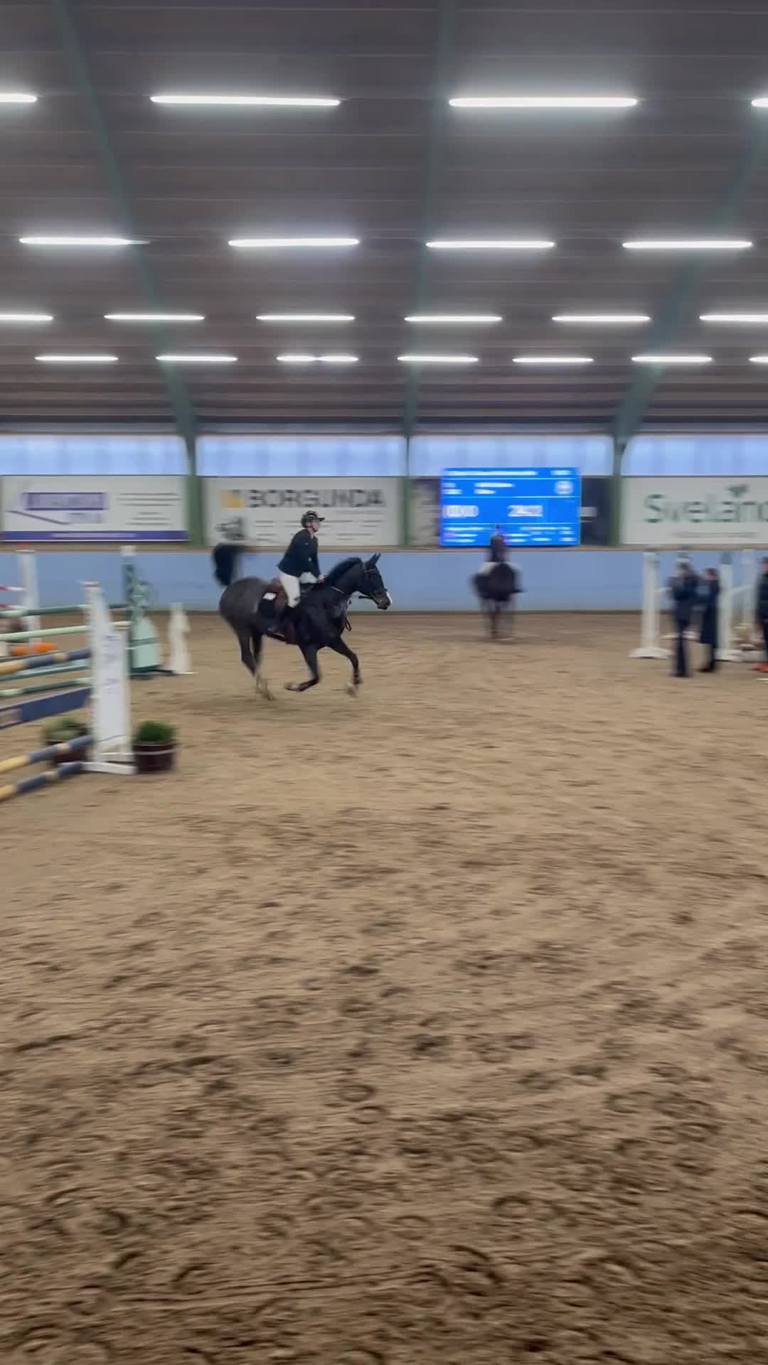 Allround hästar till salu: Mycket fin häst för den som gillar fart i Uddevalla - Video 1