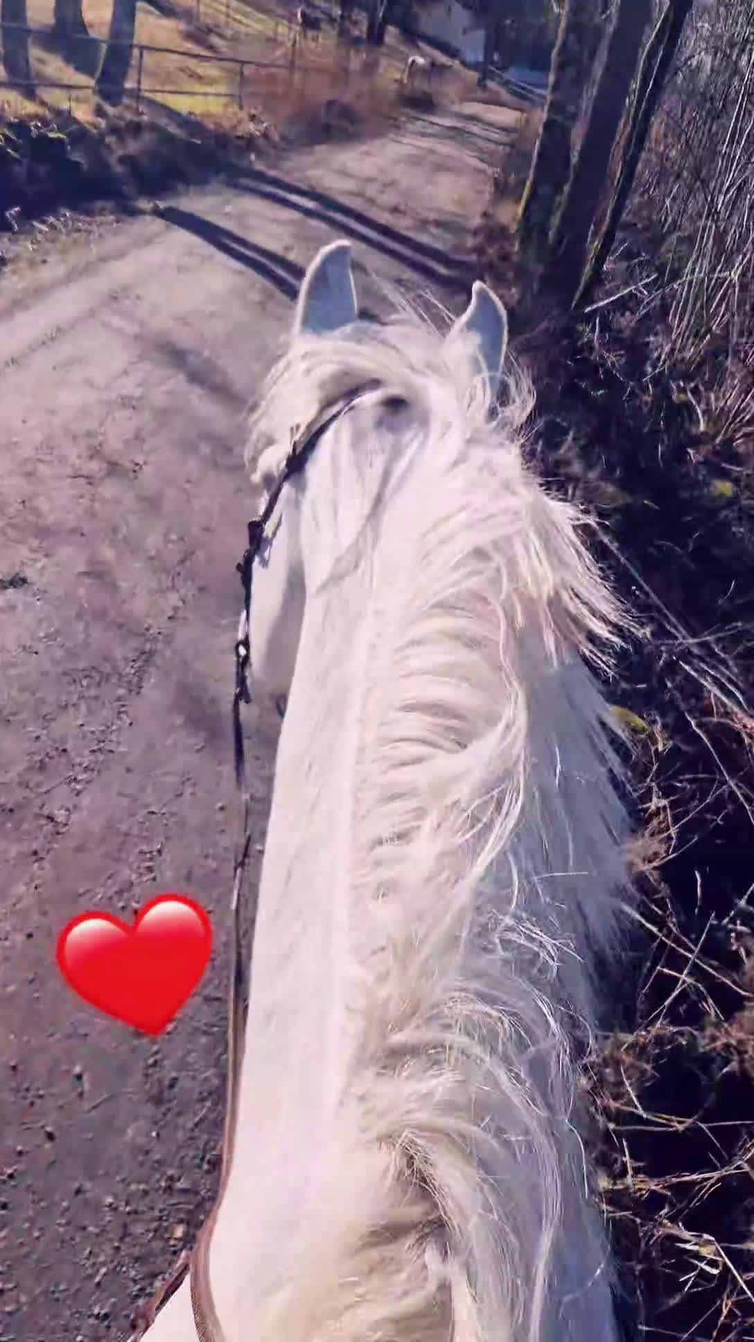  stallplats finnes: Mysig Lösdrift i lindome även bara bete  - Video 1