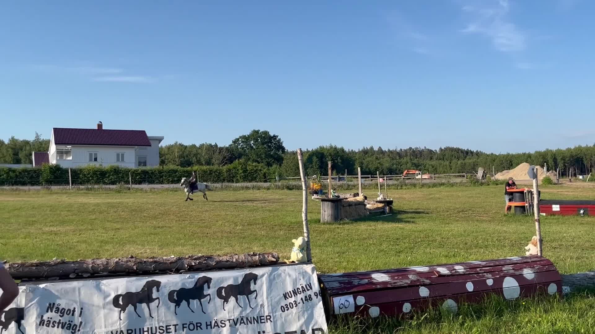 Allround hästar till salu: Ponnyn för alla grenar - Video 1