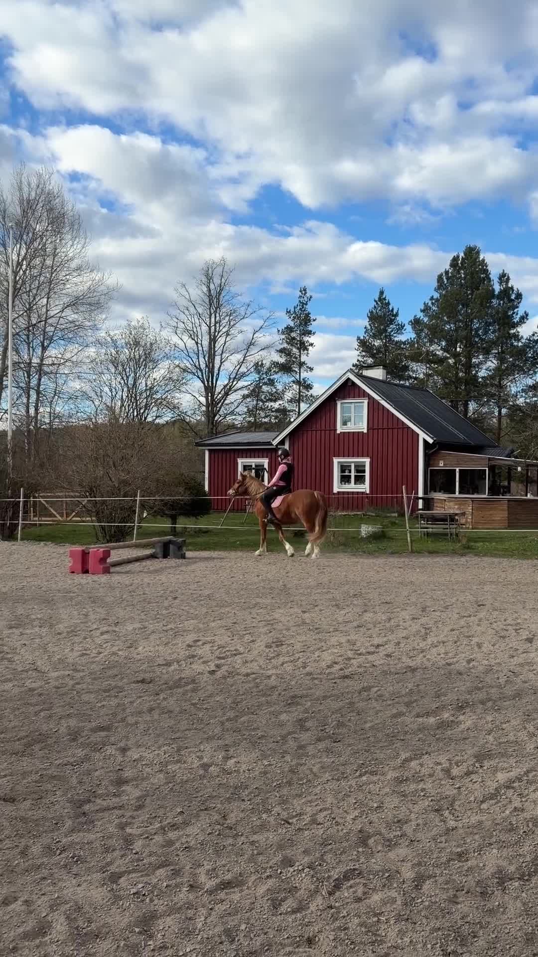 Allround hästar till salu: C ponny valack född 2010 - Video 1