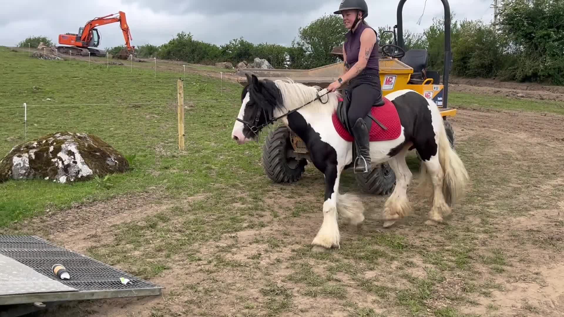 Allround hästar till salu: “Bombproof” 138cm mare - Video 1