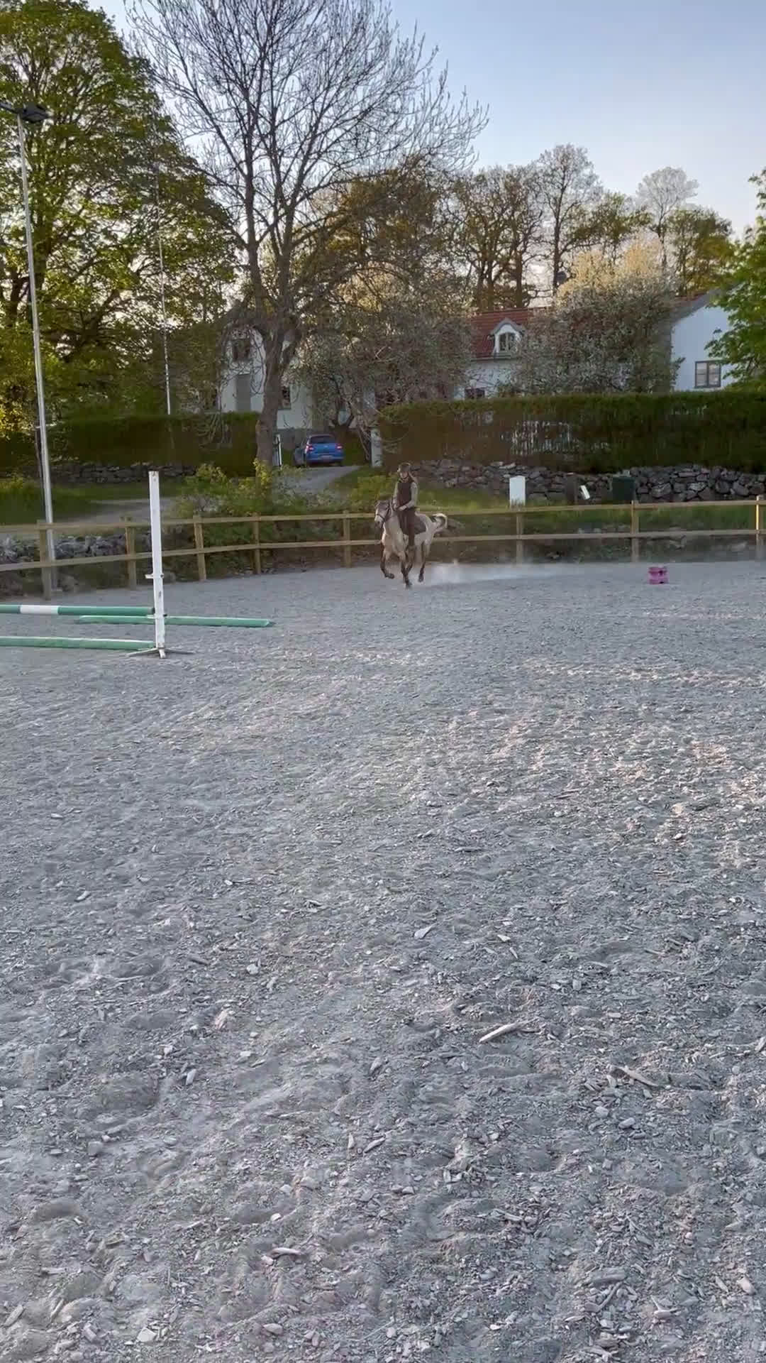 Sällskap hästar till salu: Unik bästa vän - Video 1