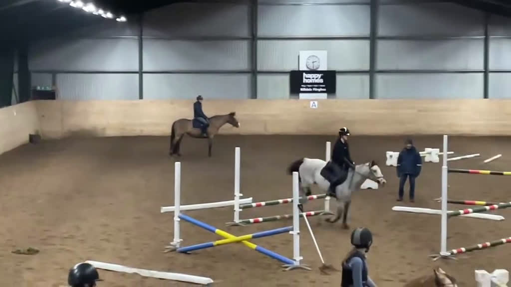 Allround hästar till salu: Guldponny med stort G i Västra Frölunda - Video 4