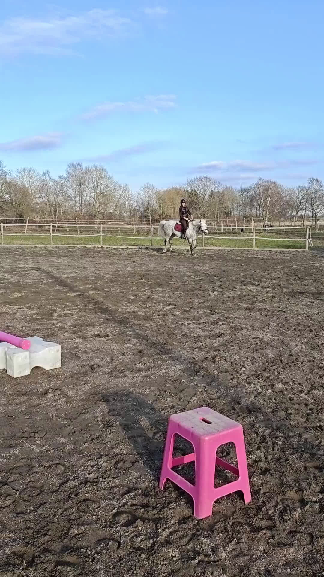 Hoppning hästar till salu: Drömponny 🌟  - Video 3