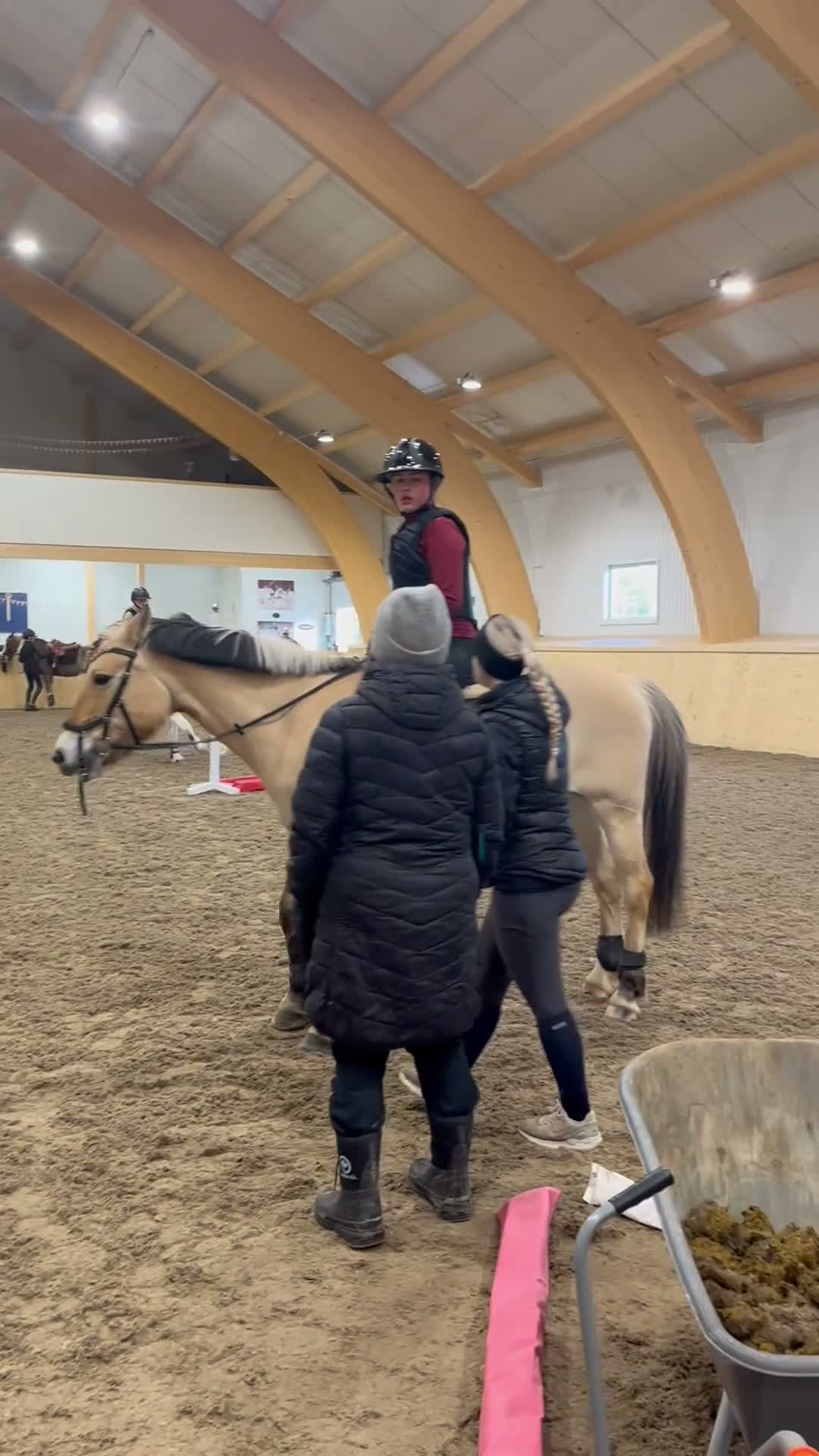 Allround hästar till salu: Trygg D-ponny - Video 2