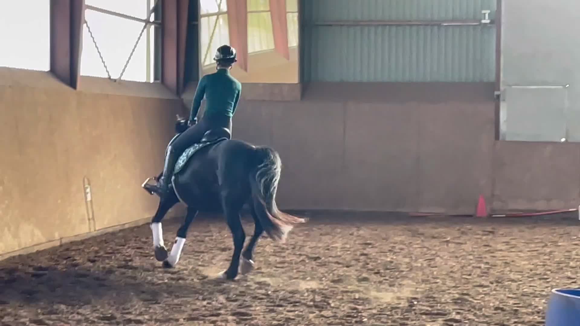 Allround hästar till salu: Rolig allroundponny - Video 2