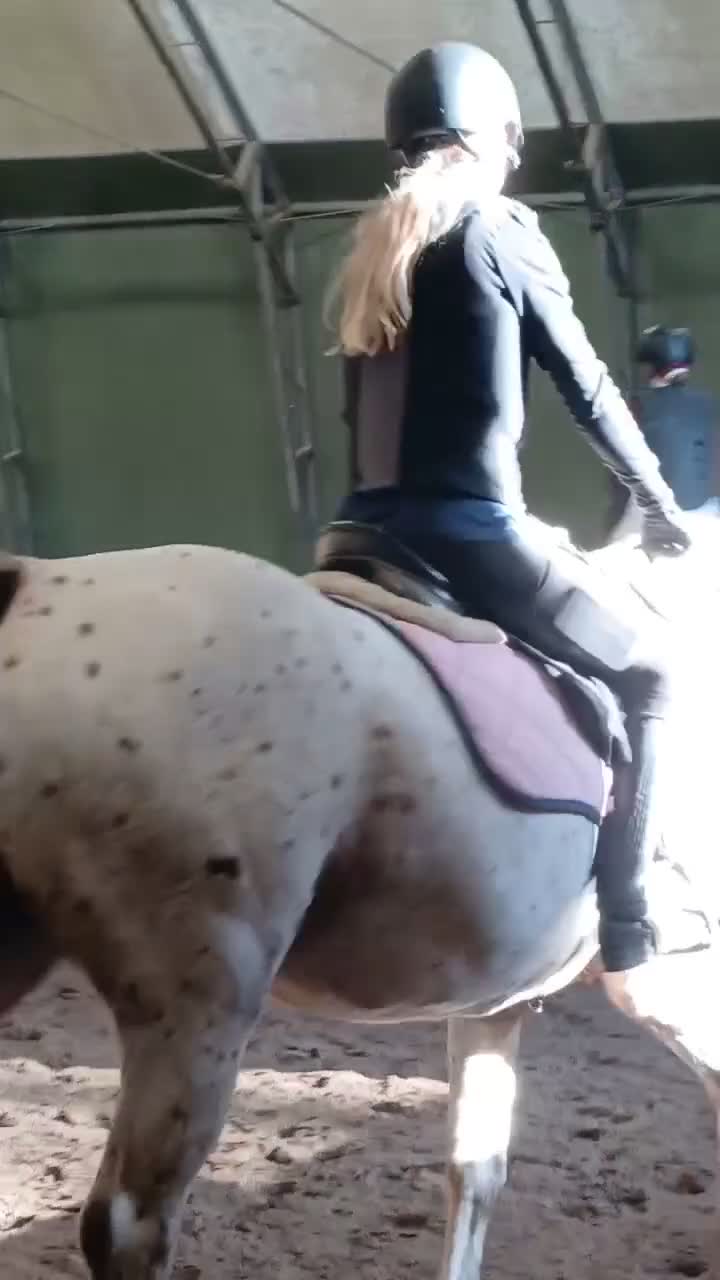  medryttarhäst sökes: Medryttar häst sökes i Falkenberg - Video 3