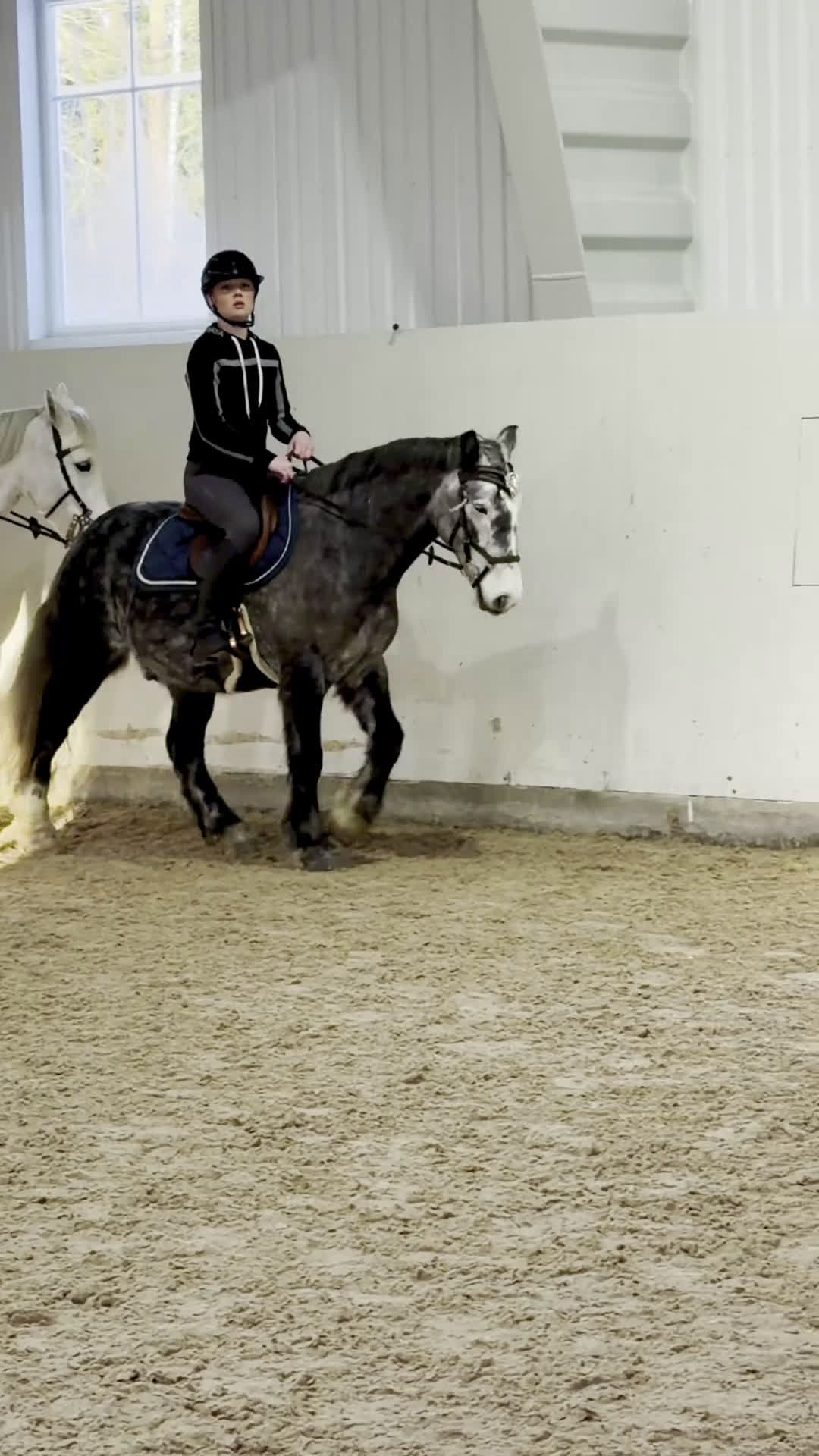 Allround hästar till salu: Super fin ponny  i Mariestad - Video 1