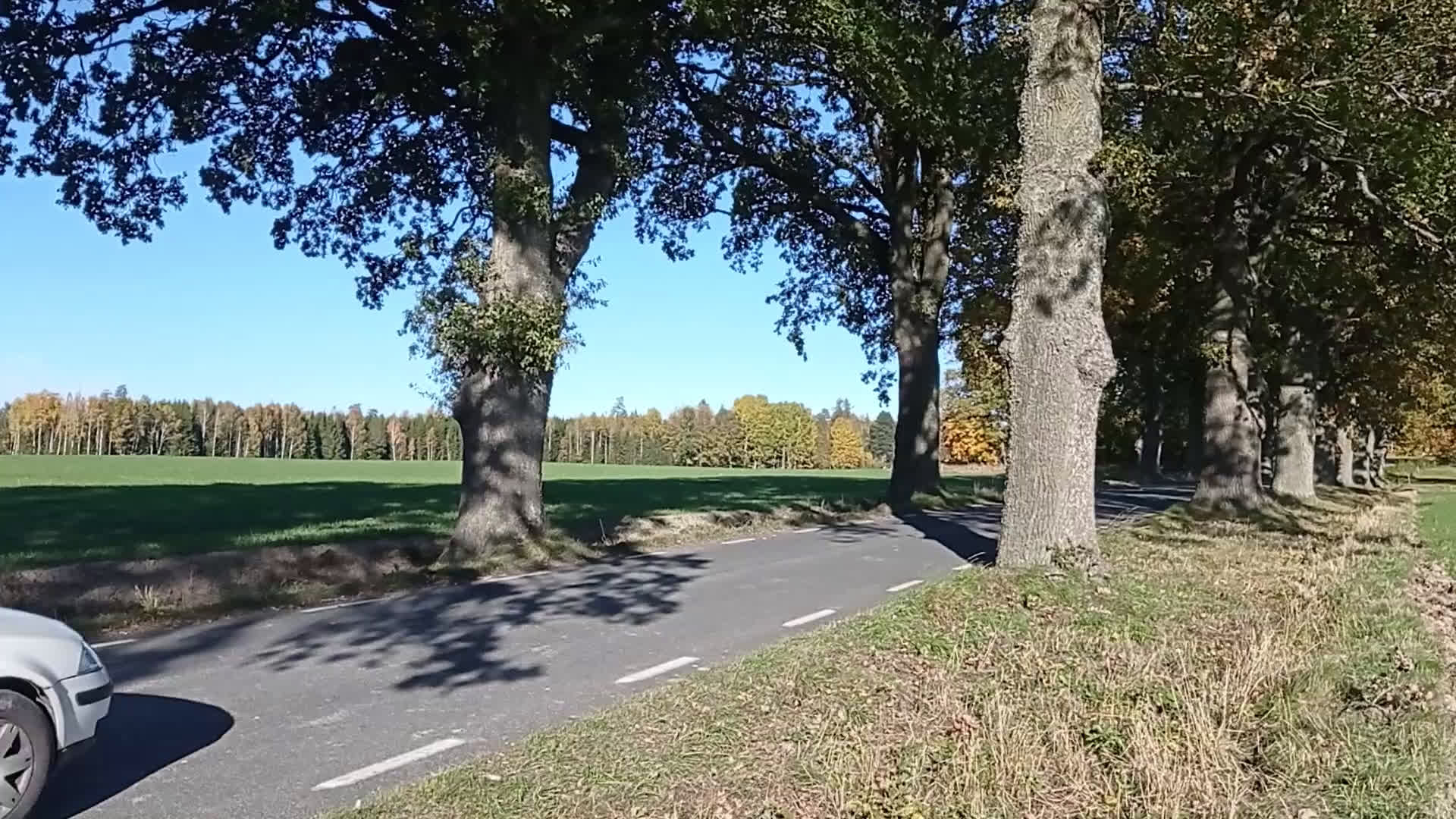 Hästtransporter  fordon & transport till salu: Stor och fin BOJ i aluminium  i Valla - Video 1