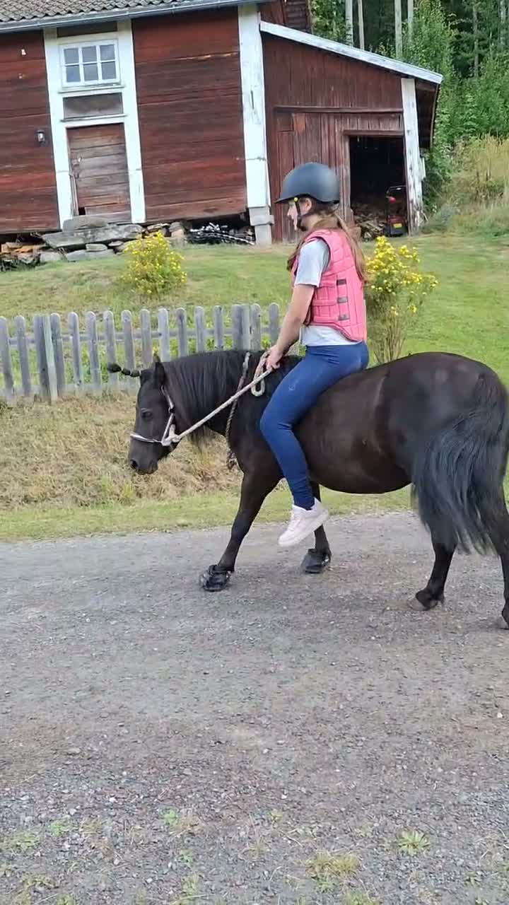Allround hästar till salu: Barnponny - Video 1