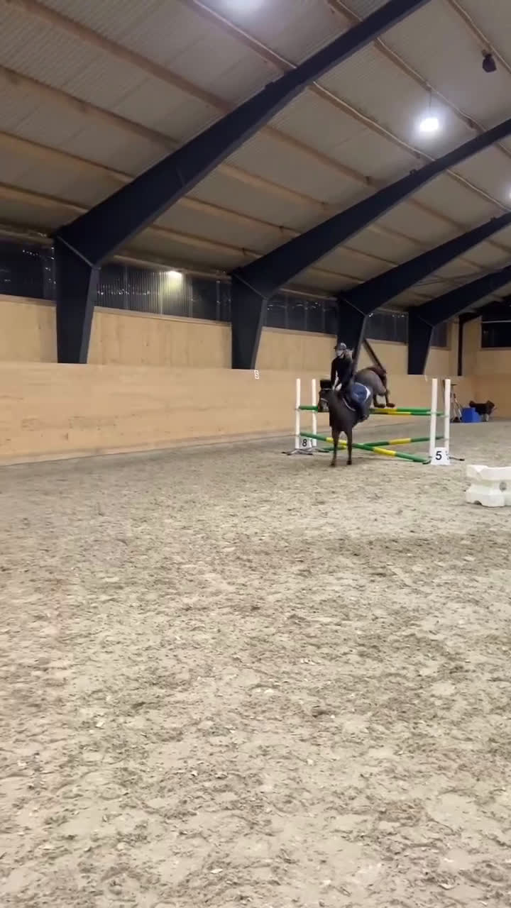 Hoppning hästar till salu: Superfin tävlingsponny i Åsa - Video 1