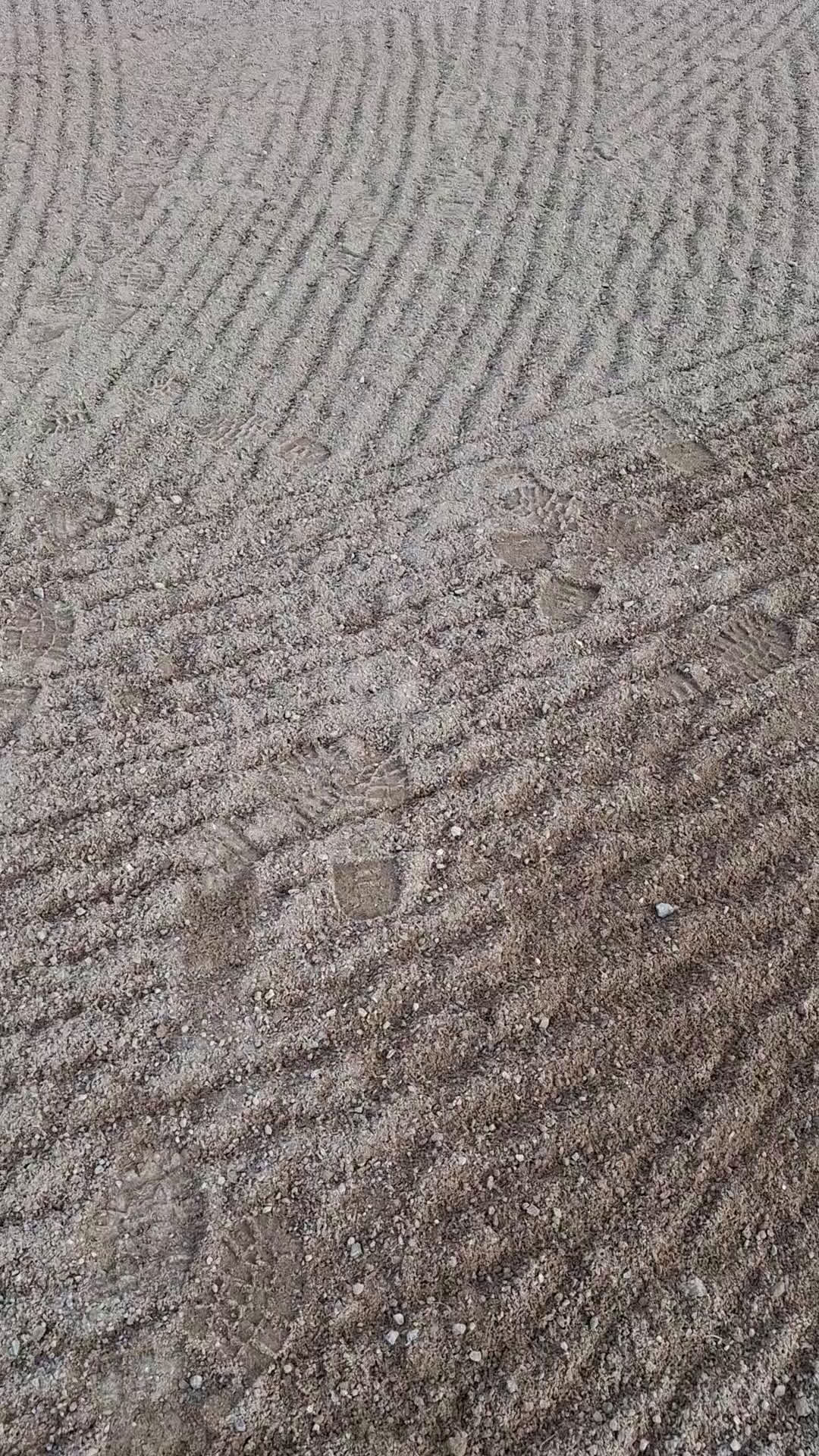  stallplats finnes: Lösdrift där hästar får vara hästar. i Tjällmo - Video 1