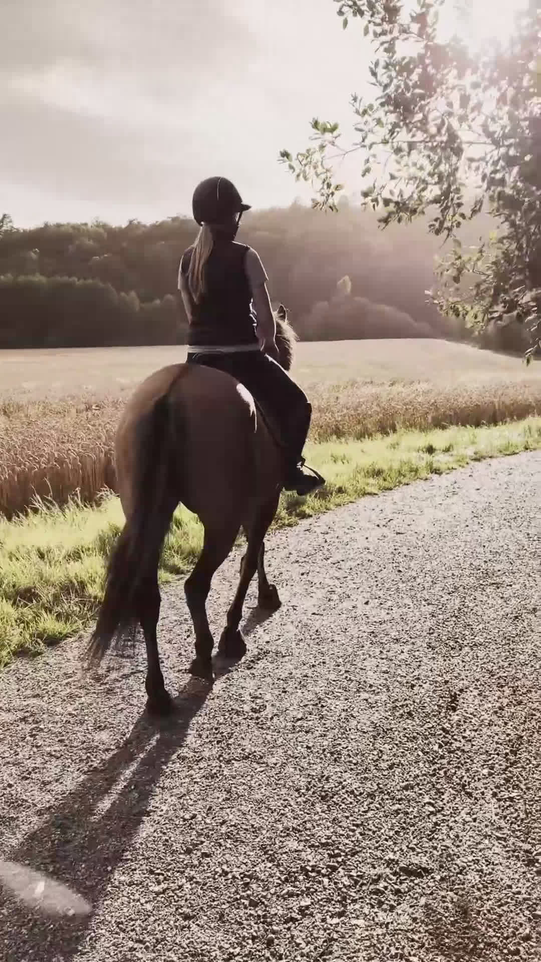  foderhäst sökes: Söker foderhäst/ponny i Torslanda - Video 2