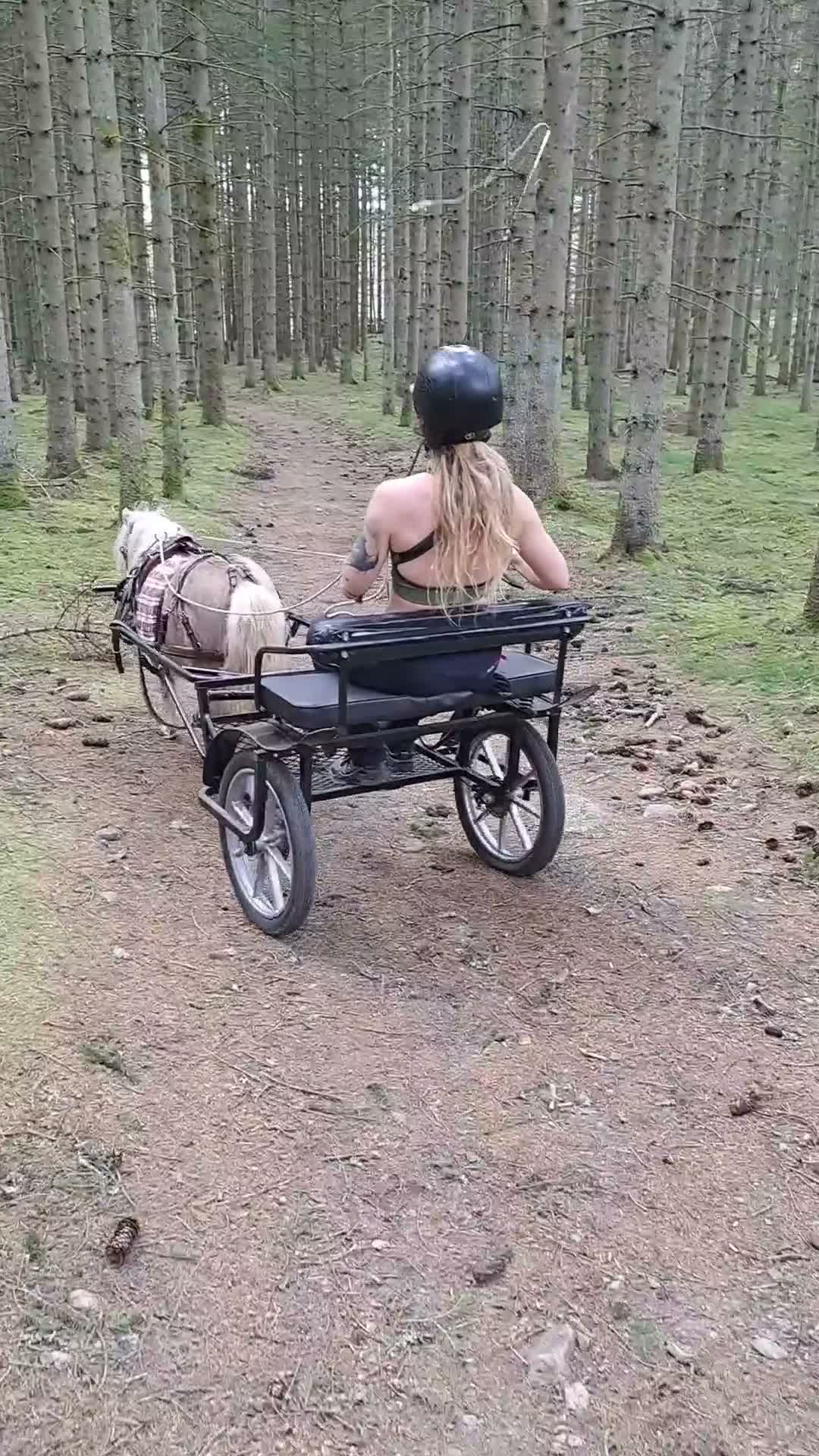 Körsulkys körning till salu: Cavaletti ponnyrockard - Video 1